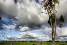 开云平台-《“红酒军团”利剑出鞘！伯恩利力斩水晶宫续写不败传奇》