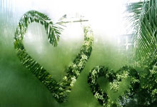 开云平台-《“红酒军团”利剑出鞘!伯恩利力斩水晶宫续写不败传奇》