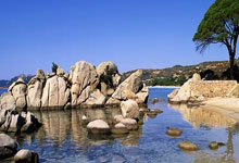 开云体育入口-红牌风暴！博洛尼亚主帅莫塔怒斥裁判：三天后全队录像分析变成声讨大会！