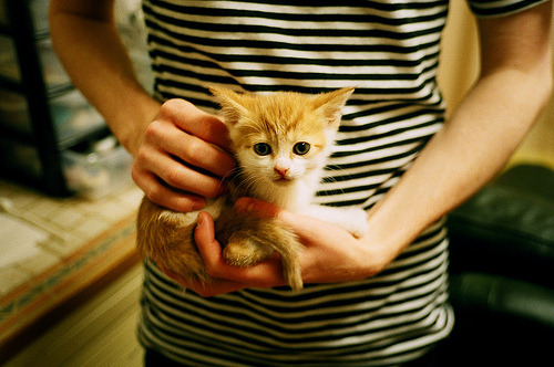 开云体育中国-地狱陨石，文班亚马的救赎之夜