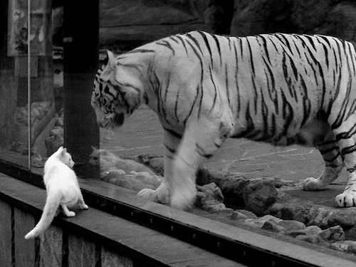 跨越时空的王者逆转，雄鹿绝地反击与班凯罗的极速接管