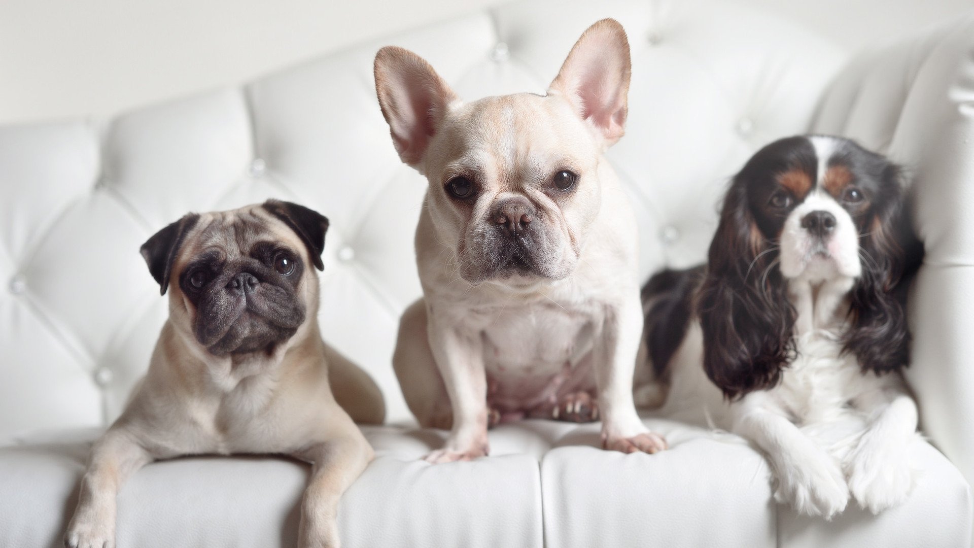 虚拟与现实交织的篮球之夜,利拉德数据风暴后,凯尔特人悄然带走胜利