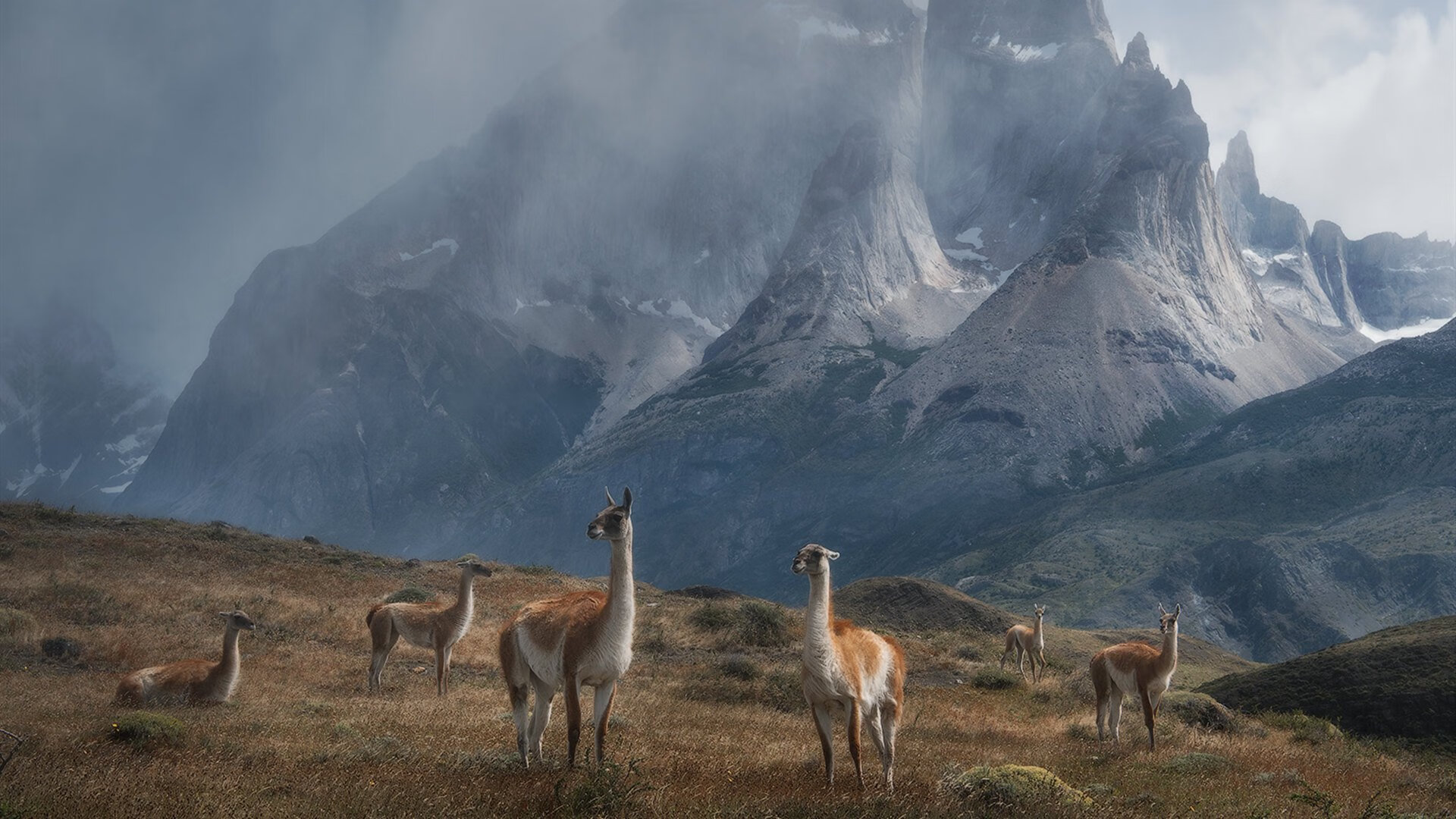那记撕裂黑暗的直塞,若日尼奥与看不见的战场