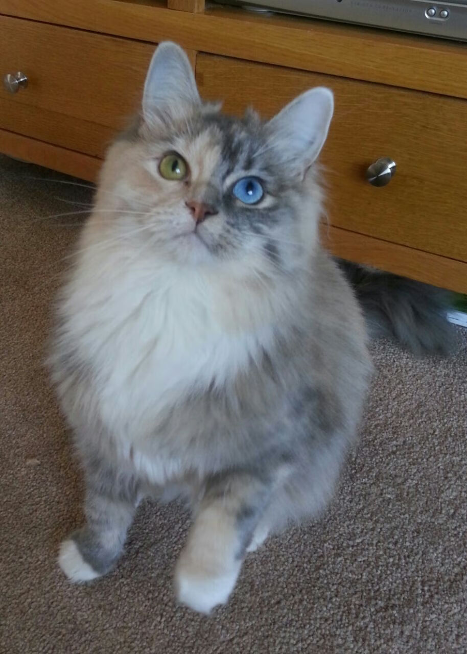 年度焦点之战,雄鹿逆袭翻盘,山西队憾失好局