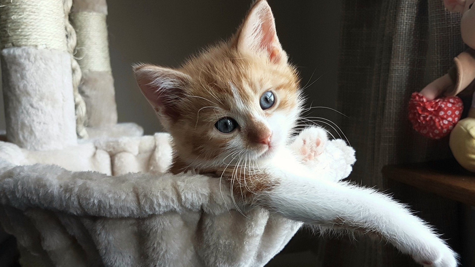 多特蒙德日本之行彰显霸气，姆巴佩东决战场尽显王者风范