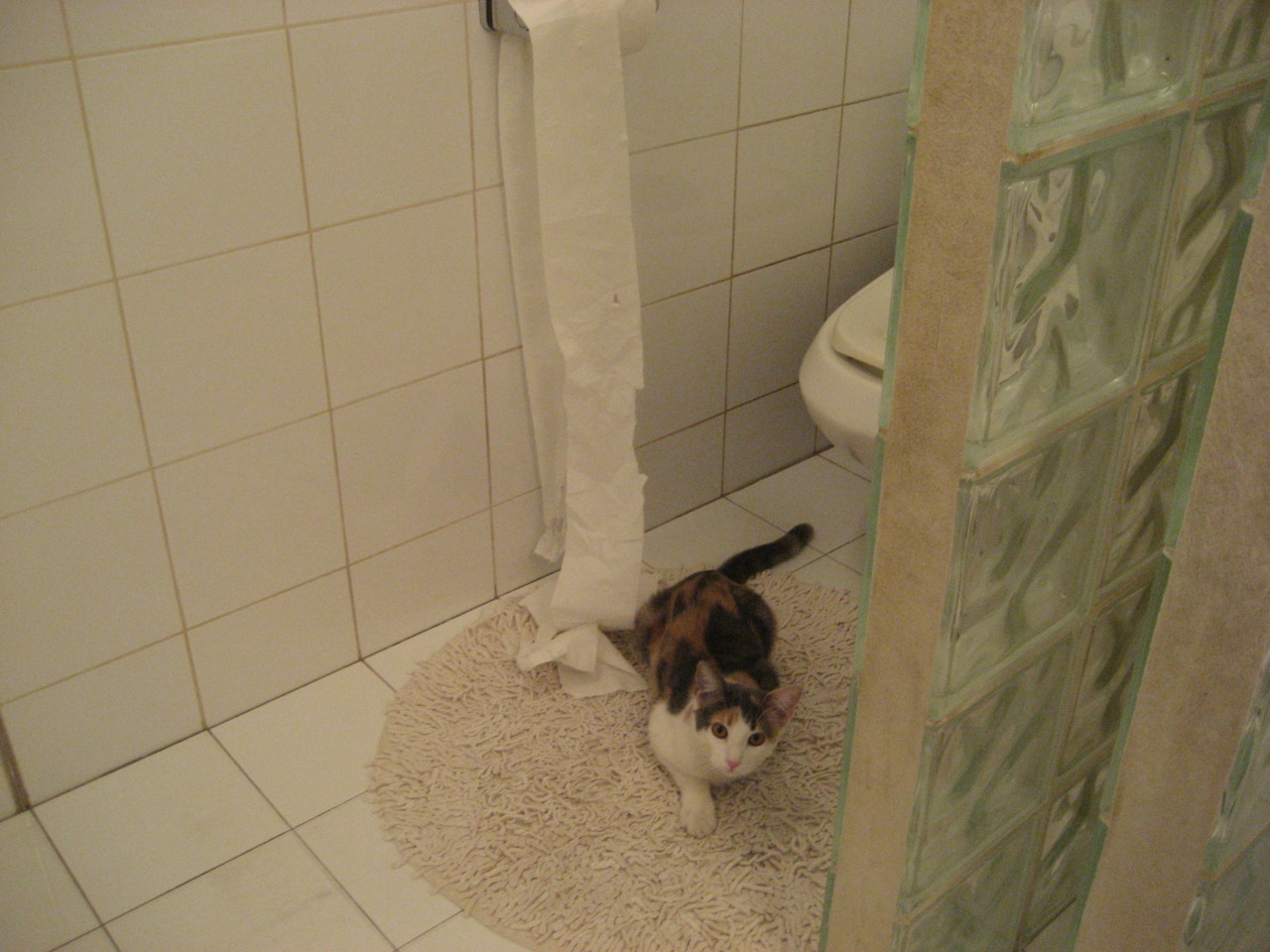 美加之夜,凯恩利剑出鞘,英格兰的持续杀伤力源