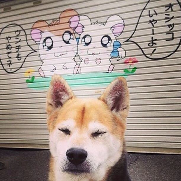 奇才踏平雄鹿,小贾伦·杰克逊如何从蓝领工兵蜕变为关键先生?