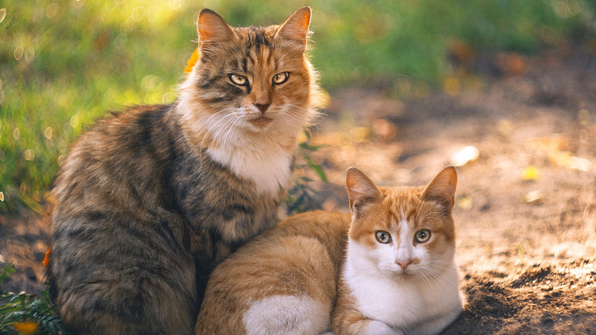 逆境狂澜,马赛惊天逆转尼斯,通往荣耀之路铸就欧冠新传奇