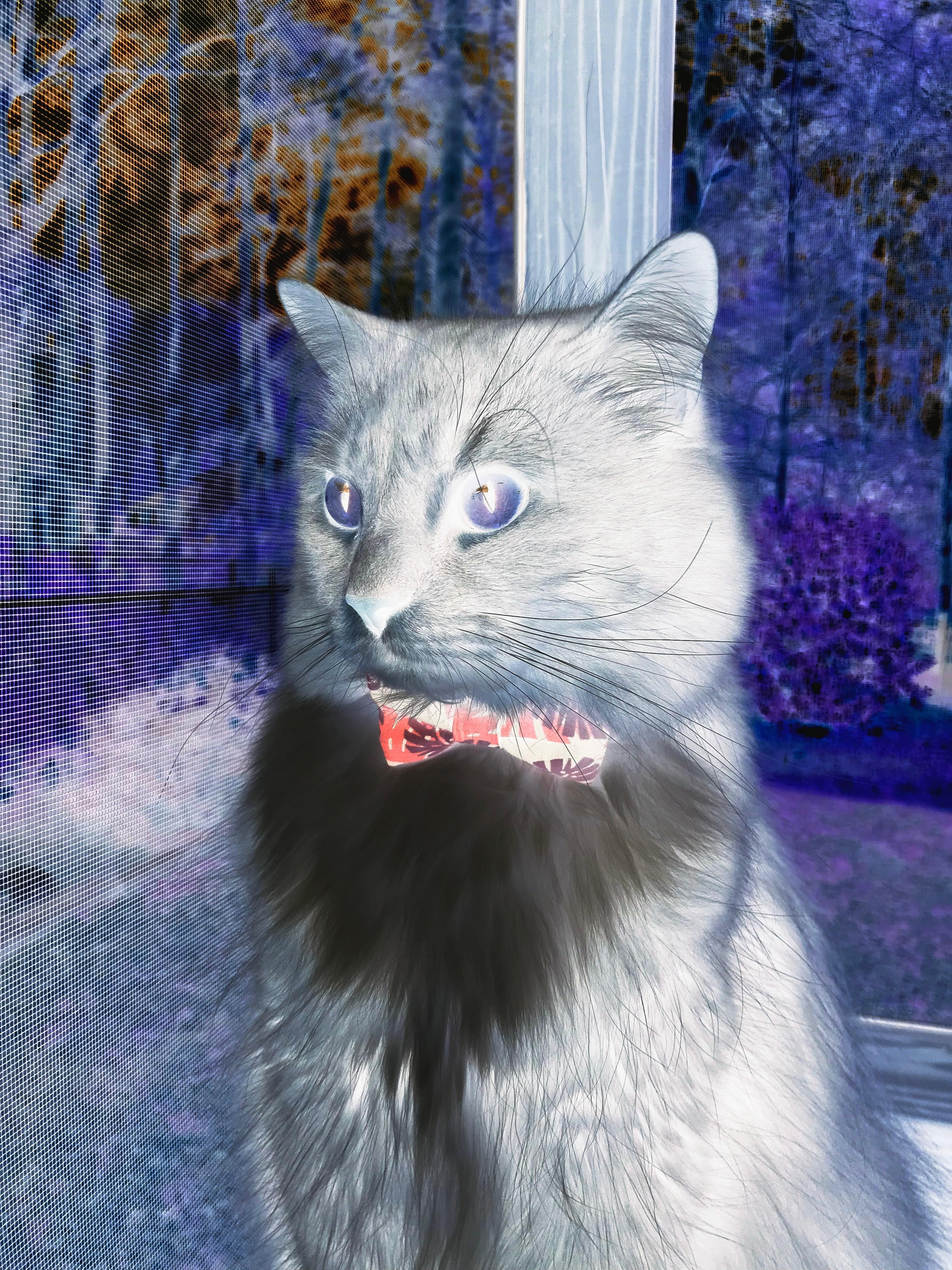 西决生死战之夜，当嘘声化为欢呼，卢卡库从地狱爬回天堂