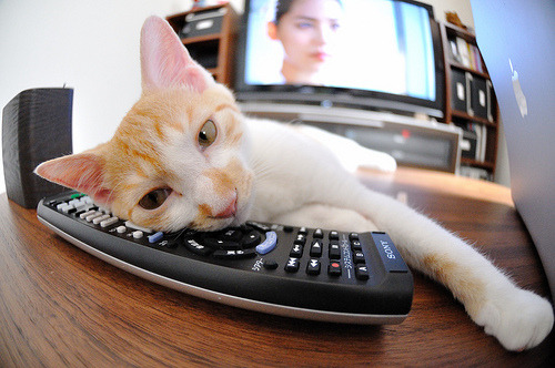 传奇降临，乔治在抢七封神之战中击溃湖人，公牛王朝再起