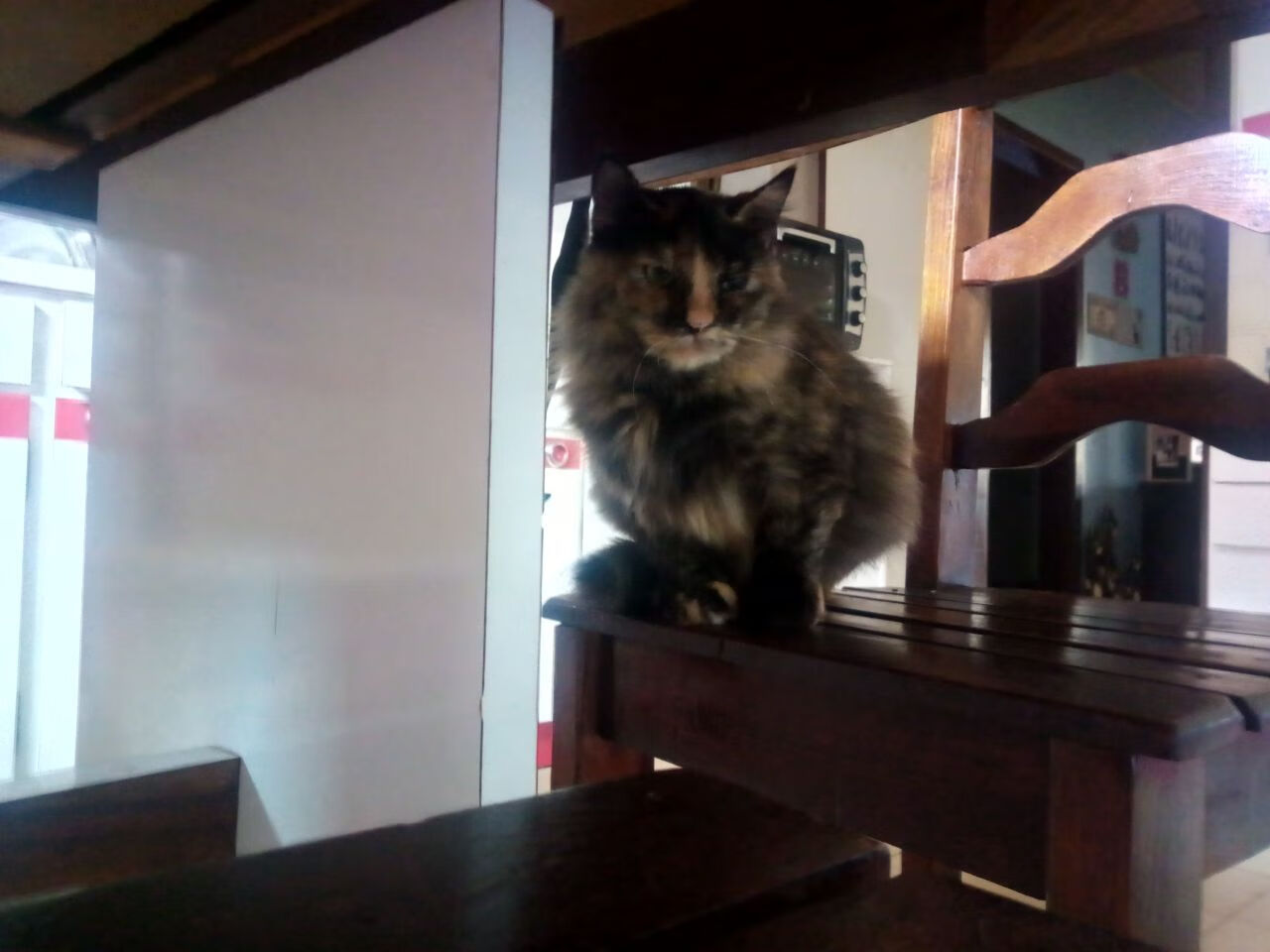 绿茵与硬木的共鸣，从尼克斯的节奏艺术，看欧冠决赛的隐形战场